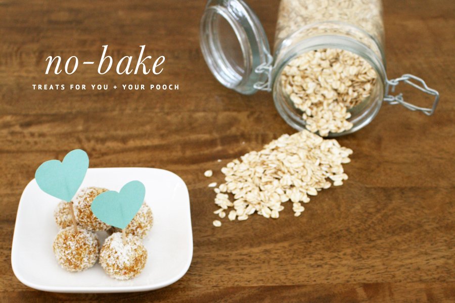 Healthy DIY no-bake dog treats on a plate with heart toppers next to rolled oats in a glass jar.