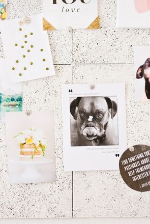 Inspiration mood board at Chic Sprinkles Studio with dog photos, pet-themed posters, and chic office wall decor.