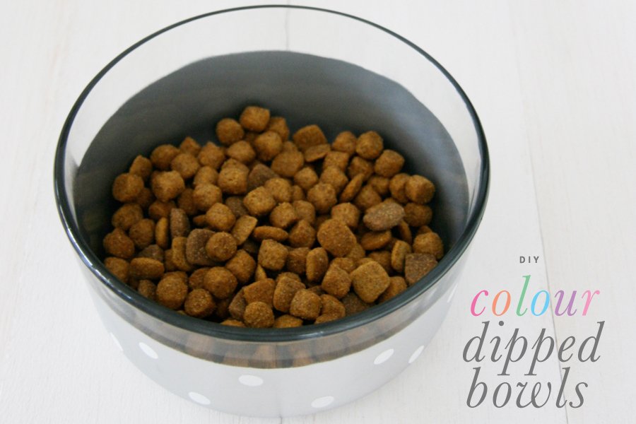 Color Dipped Dog Bowl | Pretty Fluffy