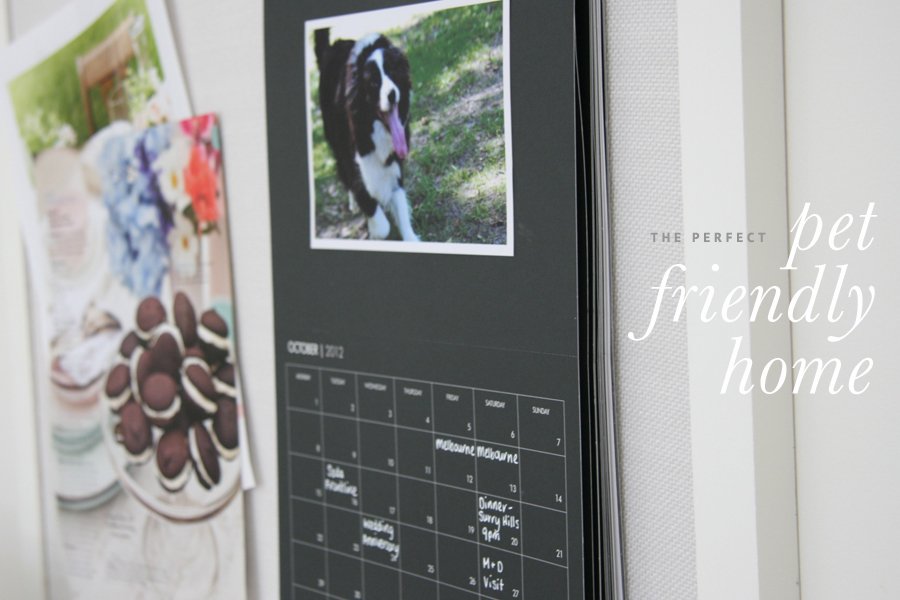 Perfect Pet Friendly Home | Pretty Fluffy
