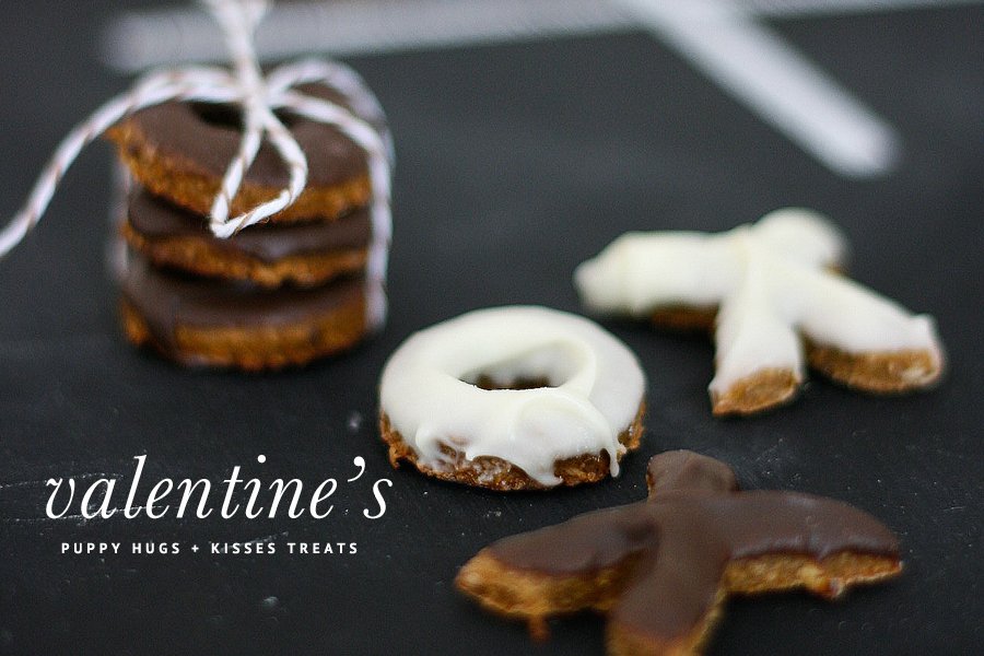 X and O shaped Valentine's dog treats with carob and white icing for the Puppy Hugs and Kisses recipe.