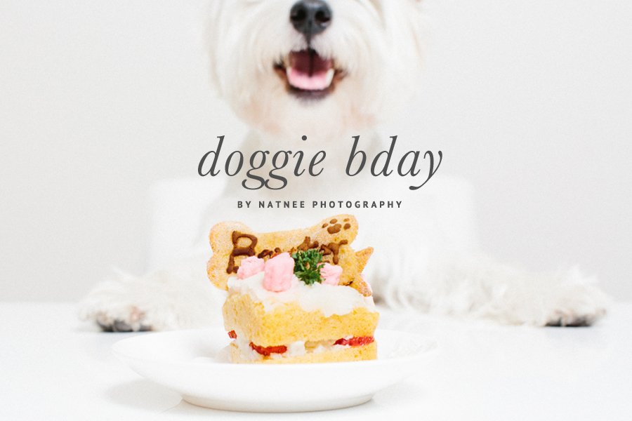 Dog Birthday Cake by Nattnee Photography | Pretty Fluffy