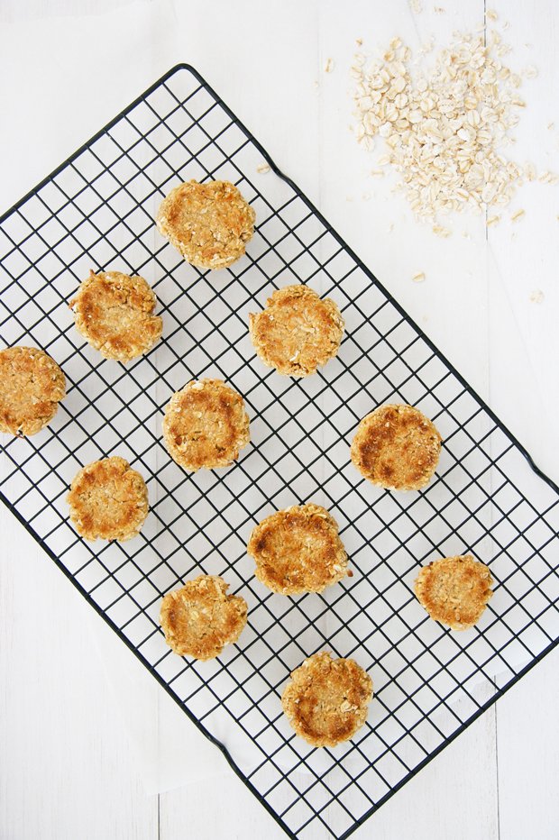 Anzac Biscuit Dog Treat Recipe