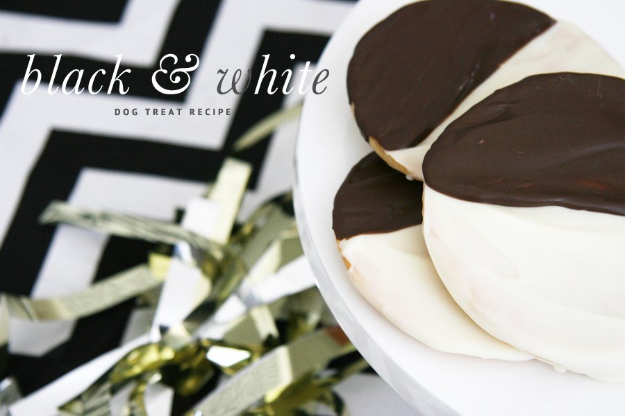 Homemade black and white cookie dog treats on a white plate. Text overlay reads: Black & white dog treat recipe.