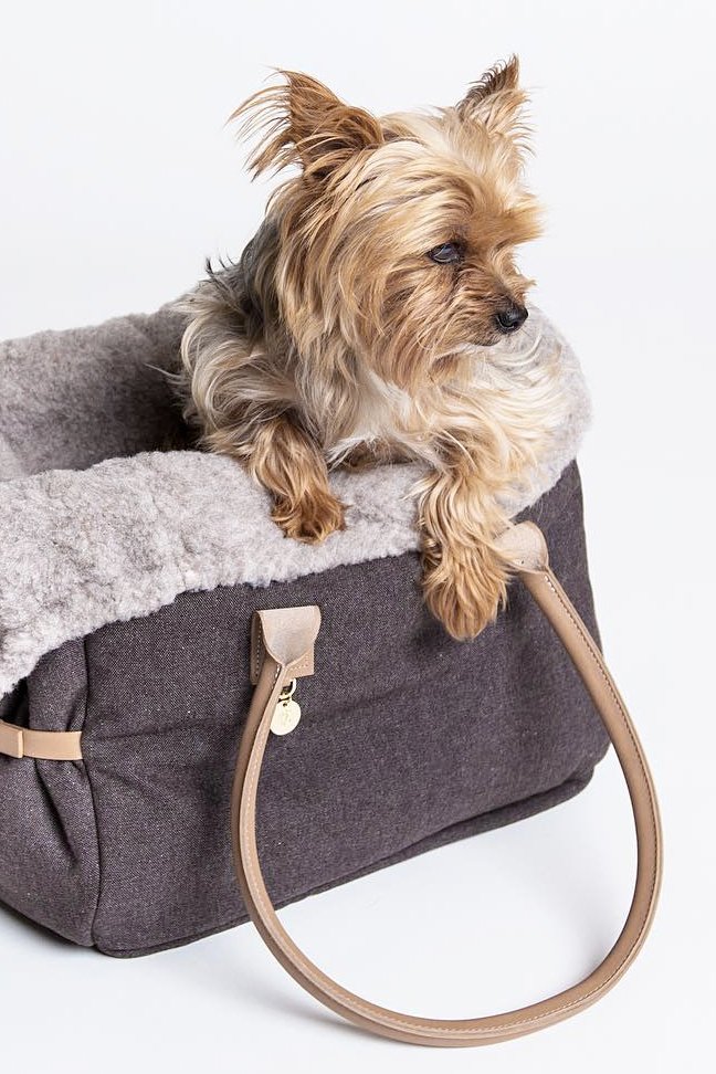 Small tan dog sitting in a grey fleece-lined dog carrier bag with tan handles for stylish pet travel.