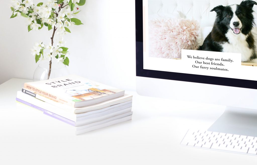 iMac screen showing a Border Collie and dog blog content next to branding books, perfect for pet brand advertising.