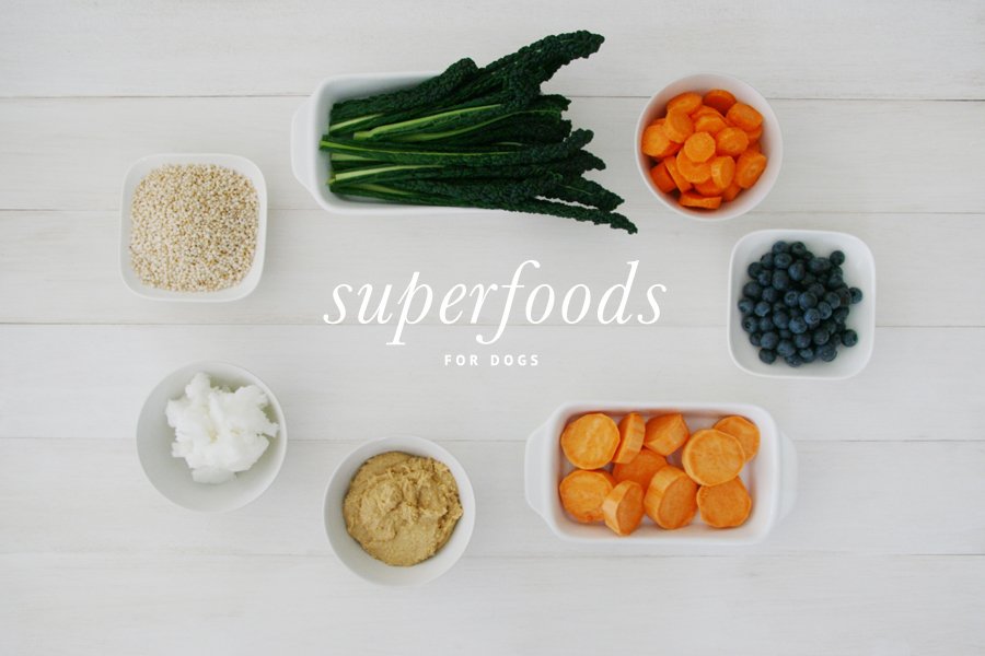 Superfoods for Dogs | Pretty Fluffy