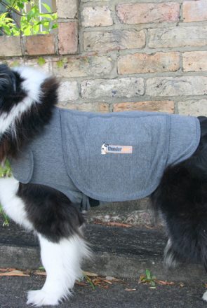 Thundershirt - Reduces Anxiety in Dogs