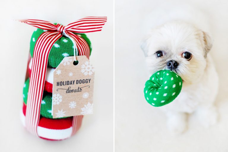 Easy DIY Dog Toy for Christmas: Holiday Doggy Donuts