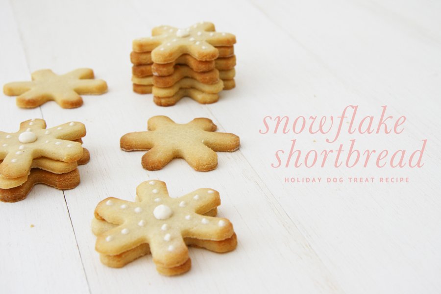 Snowflake Shortbread Cookie Dog Treat Recipe | Pretty Fluffy - Make your own snowflake cookie dog treat recipe with our free tutorial. A perfect, easy way to include your dog in the holiday season!