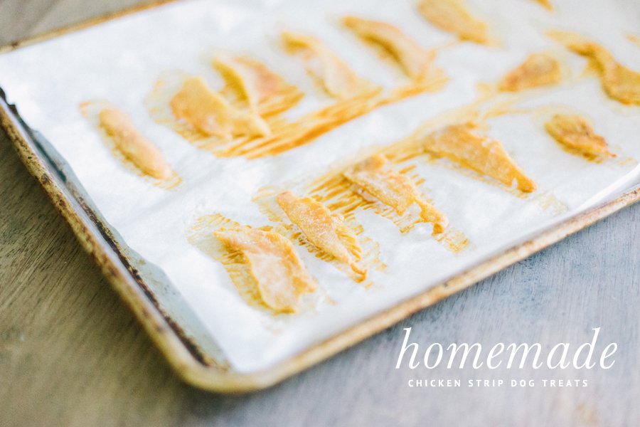 Homemade chicken jerky for dogs arranged on a parchment-lined baking sheet for a DIY chicken strip dog treat recipe.