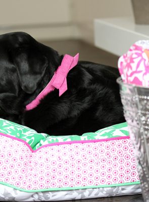 Black puppy with a pink bow collar sleeping in a stylish dog bed, showcasing comfortable pet lifestyle tips.