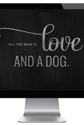 Stylish desktop wallpaper for dog lovers on a computer screen reading, 'All you need is love and a dog.'