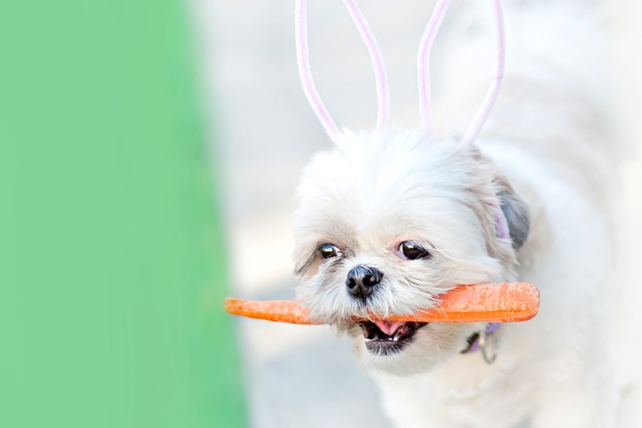 DIY Bunny Ears Tutorial