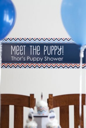 DIY puppy shower banner reading 'Meet the Puppy! Thor's Puppy Shower' with blue balloons and chevron party decorations.