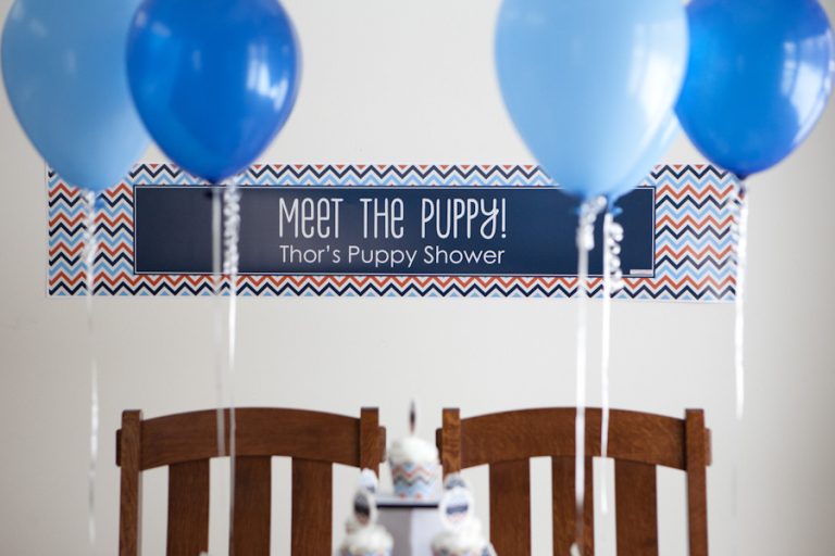 Thor’s DIY Puppy Shower