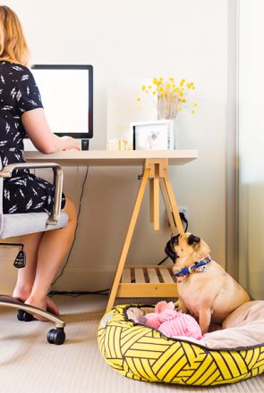 Pet Friendly Home Tour - Madeleine Burke of The Daily Mark | Pretty Fluffy