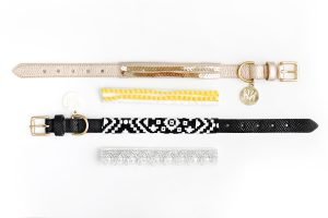 Two stylish dog collars in gold sequin and black geometric patterns, featuring elegant gold buckles.