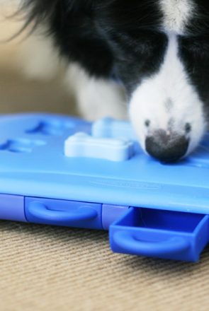 Nina Ottosson Dog Toys Review | Pretty Fluffy