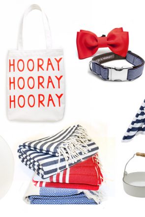 Stylish red, white and blue dog accessories, including a striped collar with red bow tie, tote bag, and beach blankets.