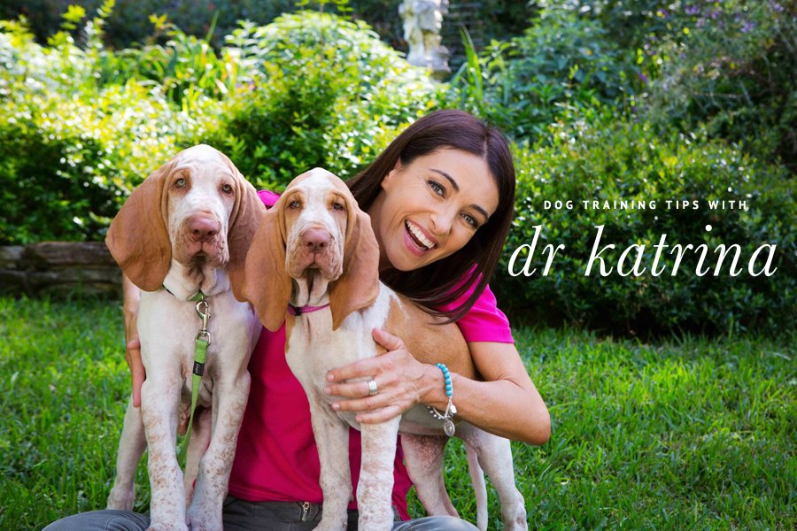 Dr Katrina Warren smiling with two puppies outdoors for her top dog training tips guide.