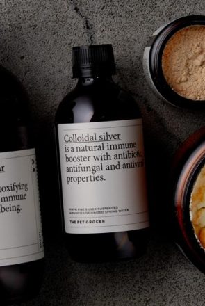 Natural dog hot spot home remedies including apple cider vinegar, colloidal silver, and powders from The Pet Grocer.