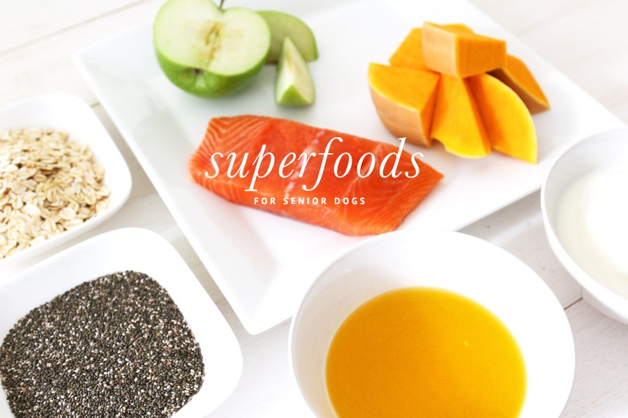 Superfoods for senior dogs: salmon, green apple, pumpkin, oats, and chia seeds for a healthy canine diet.