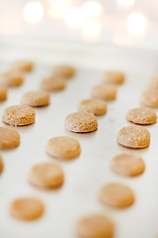 3 of the BEST Sugar Free Dog Treats Recipes | www.prettyfluffy.com