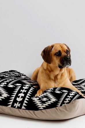 Brown dog lying on a stylish black and white geometric patterned dog bed.