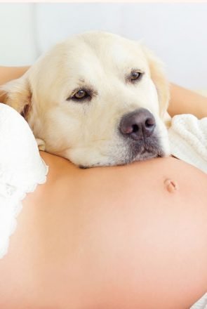 How to Prepare Your Dog for a Baby (a Dog Lover’s Guide)