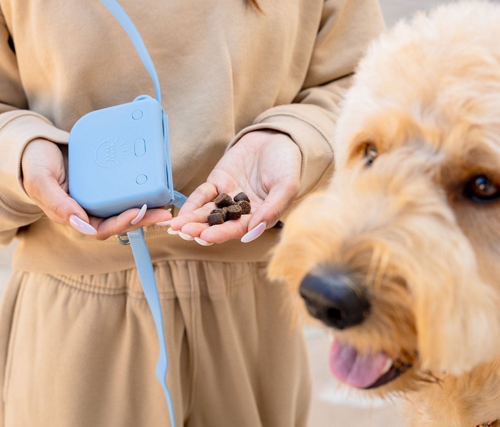 Blue silicone dog treat pouch held by a person with training treats next to a fluffy golden dog.