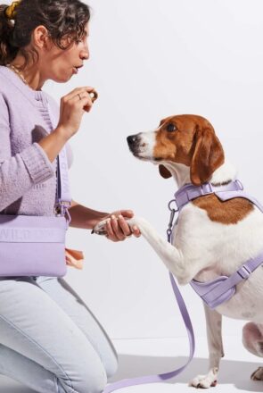 wild one - best dog pouch