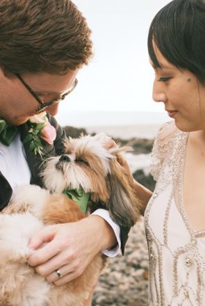 Bride and groom hold their dog in a bow tie at a beach wedding, showing pet-friendly wedding style and photography.