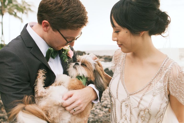 Dogs at Weddings: Ira, Liz & Cooper