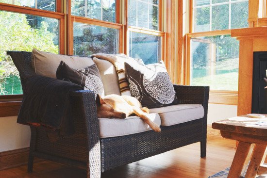 5 Life Lessons to Learn From Your Dog | www.prettyfluffy.com