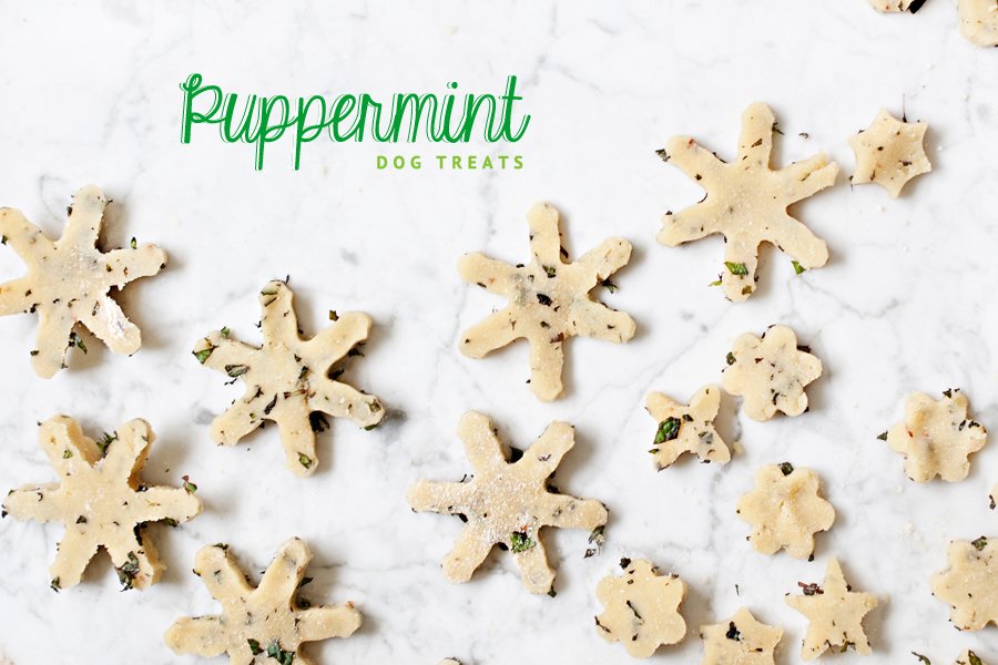 Snowflake-shaped Puppermint dog cookies with fresh mint flecks for homemade mint dog treats.