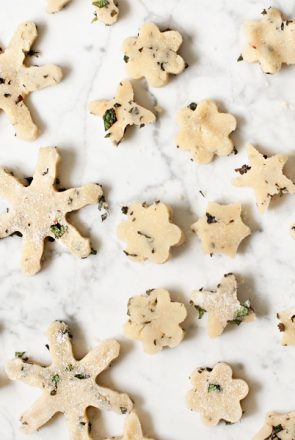These yummy, healthy and easy to make Puppermint dog treats are perfect for the holidays and will leave your dog with minty fresh breath! Click through for the DIY Peppermint Dog Treat Recipe.