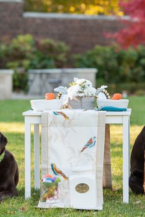 Dog Birthday Party by Jenny Karlsson Photography - fun and stylish ideas for your pet birthday party | Pretty Fluffy
