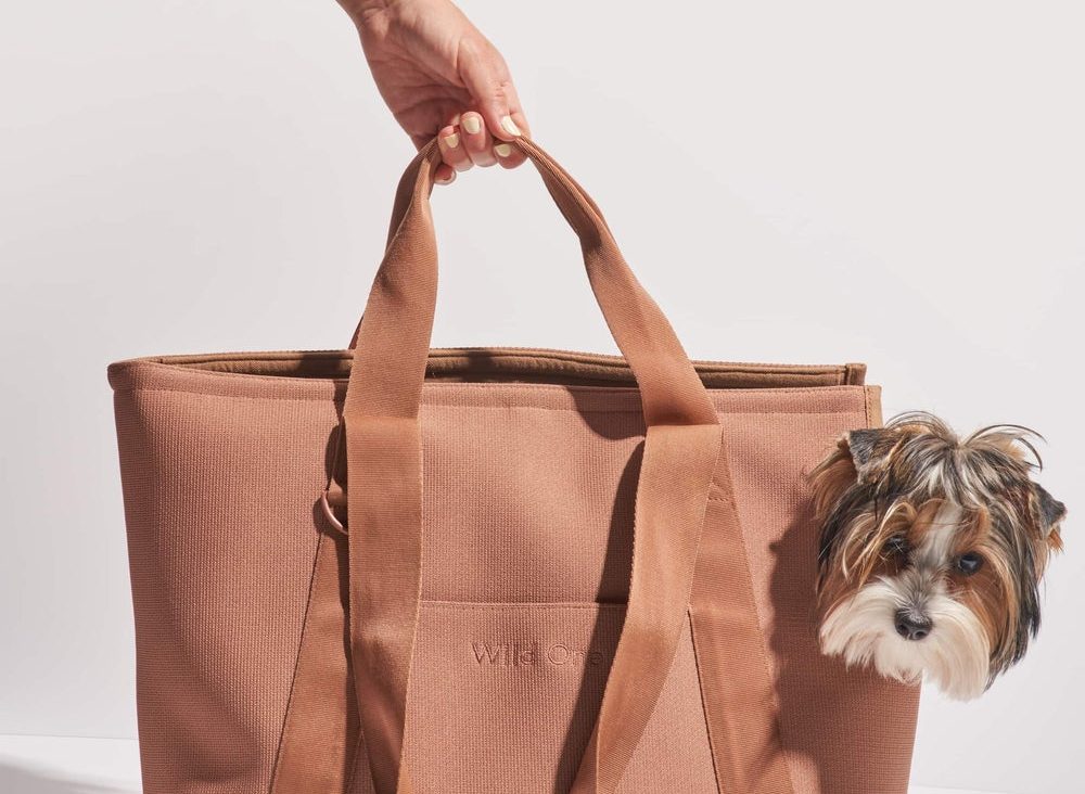 Introducing Your Dog to a Carrier -how to shop a dog carrier