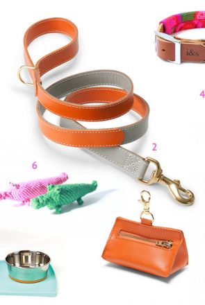 Chic dog accessories featuring an orange leather lead, matching poop bag holder, and colorful knit toys.