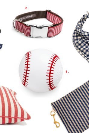 Patriotic Pooch Americana pet products featuring a red and blue dog harness, collar, bandana, and dog toys.