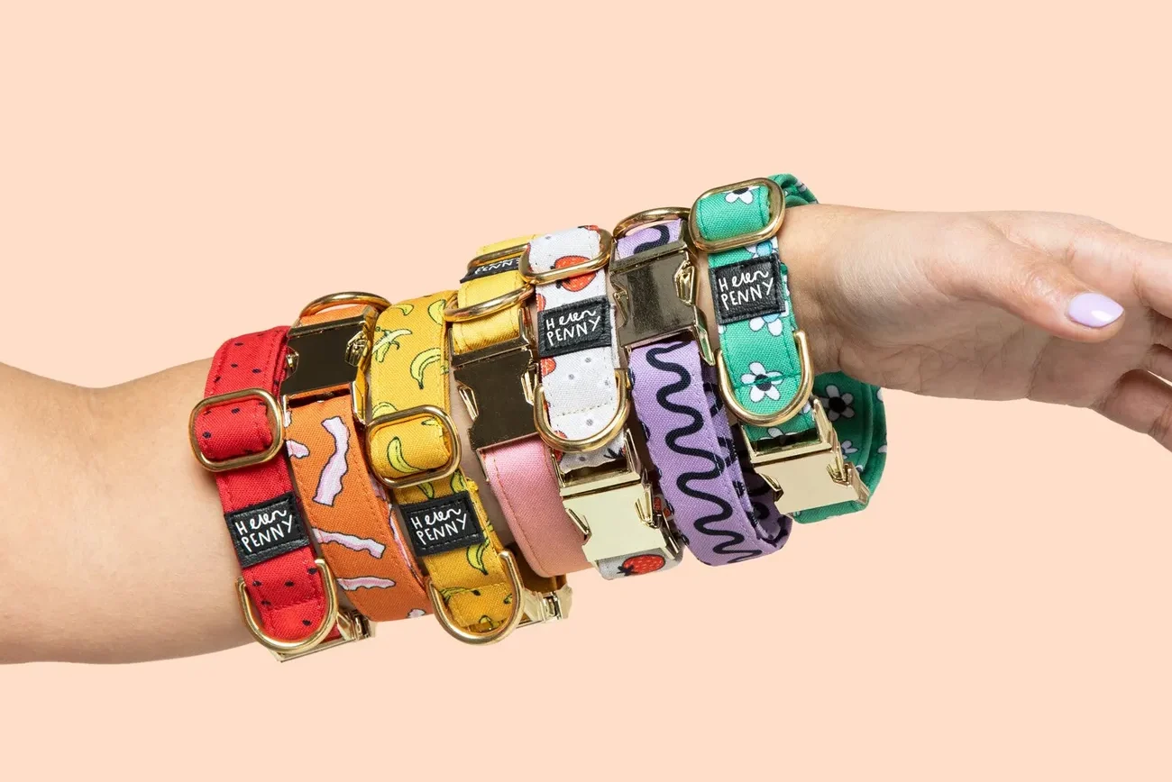A variety of bright and funky Helen Penny dog collars with colorful patterns and gold hardware on a person's arm.