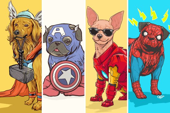 QUIZ: What's your dog's superhero alter-ego?