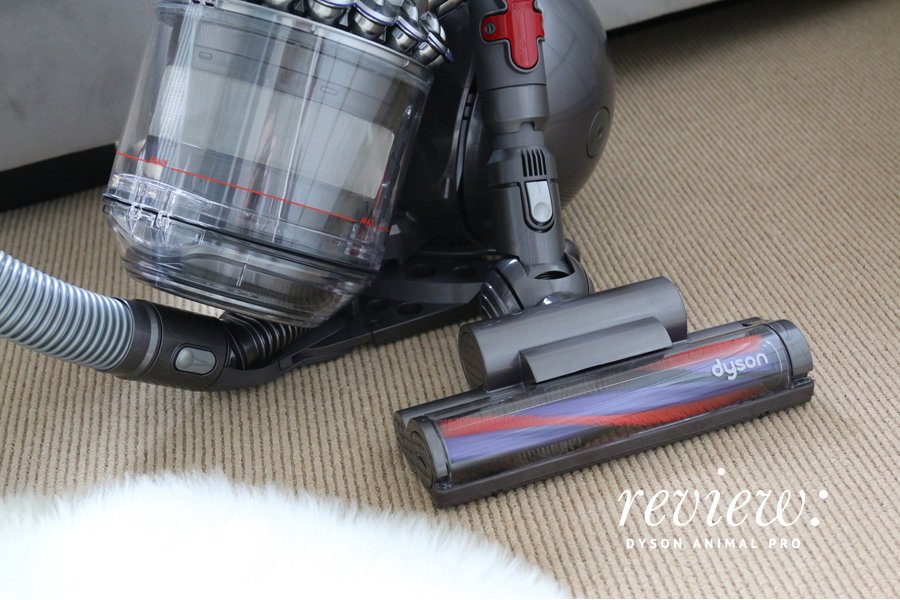 Dyson Animal Pro vacuum cleaner head and clear dust bin on a beige carpet.