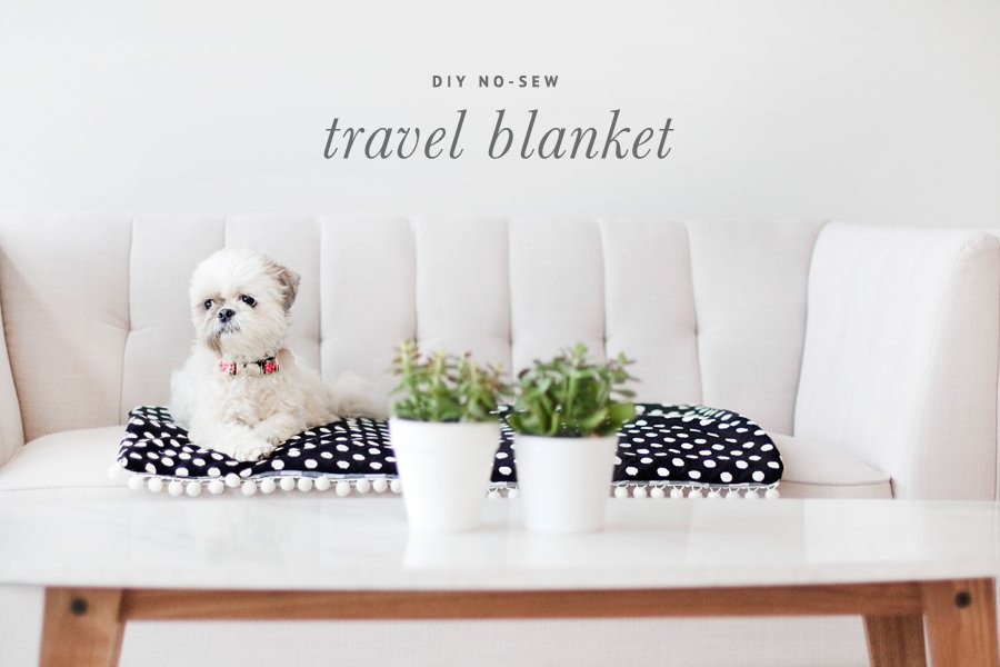 Small dog sitting on a black and white polka dot DIY no-sew dog travel blanket on a white couch.