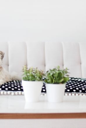 Small fluffy dog on a stylish DIY polka dot dog mat with pom-pom trim on a white sofa.