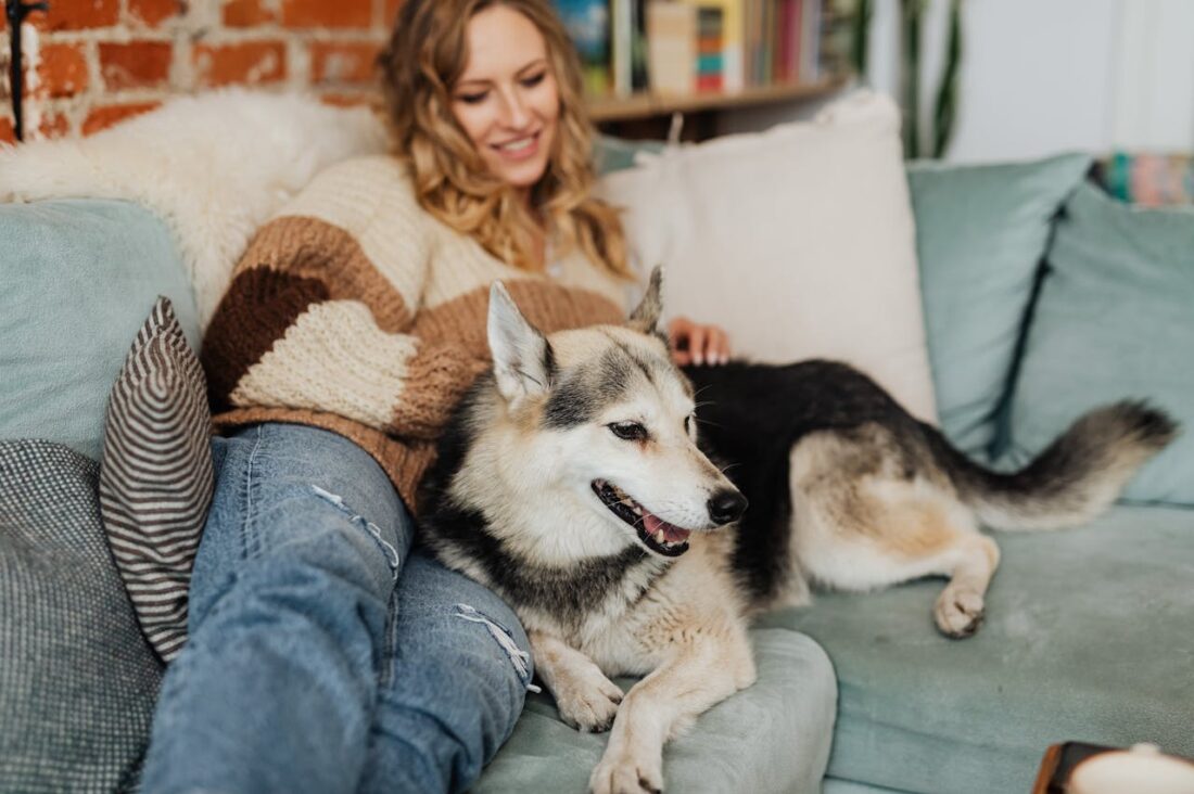 Tips for Finding the Perfect Pet Sitter