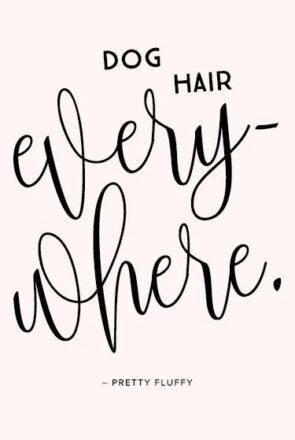 'Dog Hair Everywhere' Free Dog Desktop Wallpaper & Screensaver