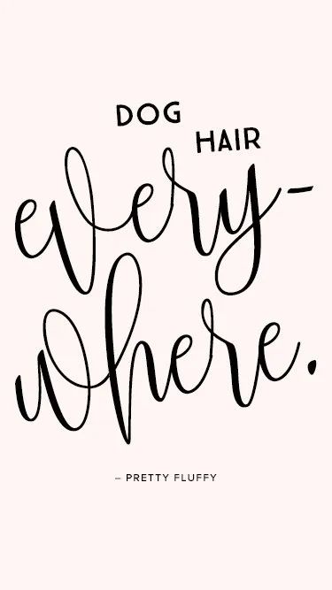 ‘Dog Hair Everywhere’ Free Dog Desktop Wallpaper & Screensaver