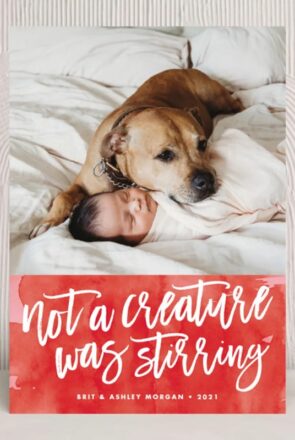 Dog Christmas card for pet lovers featuring a dog snuggling a sleeping baby and the text 'not a creature was stirring'.